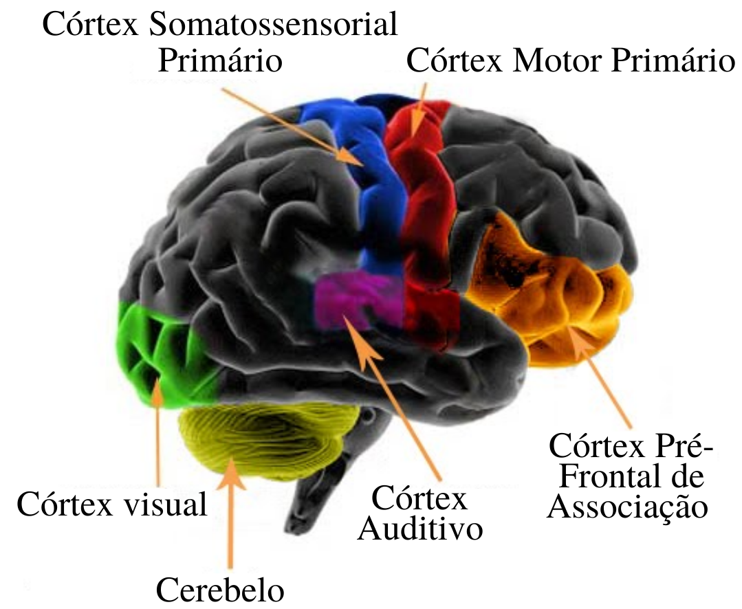 O que é e como funciona a cabeça do motor