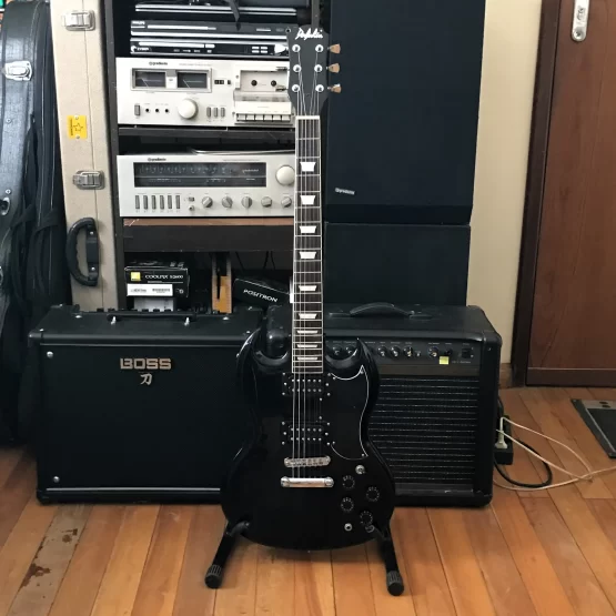 Guitarra Dolphin SG