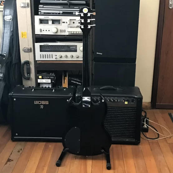 Guitarra Dolphin SG - Imagem 4