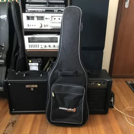 Capa Acolchoada Guitarra AVS Ch200
