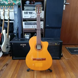 Violão Elétrico Di Giorgio Estudante 18 E Cutaway