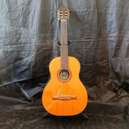 Violão Di Giorgio Signorina 16 1998 Acústico