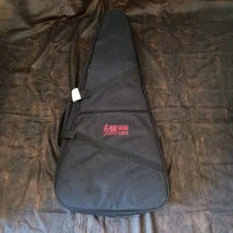 Capa de Guitarra Acolchoada G Gil Usada