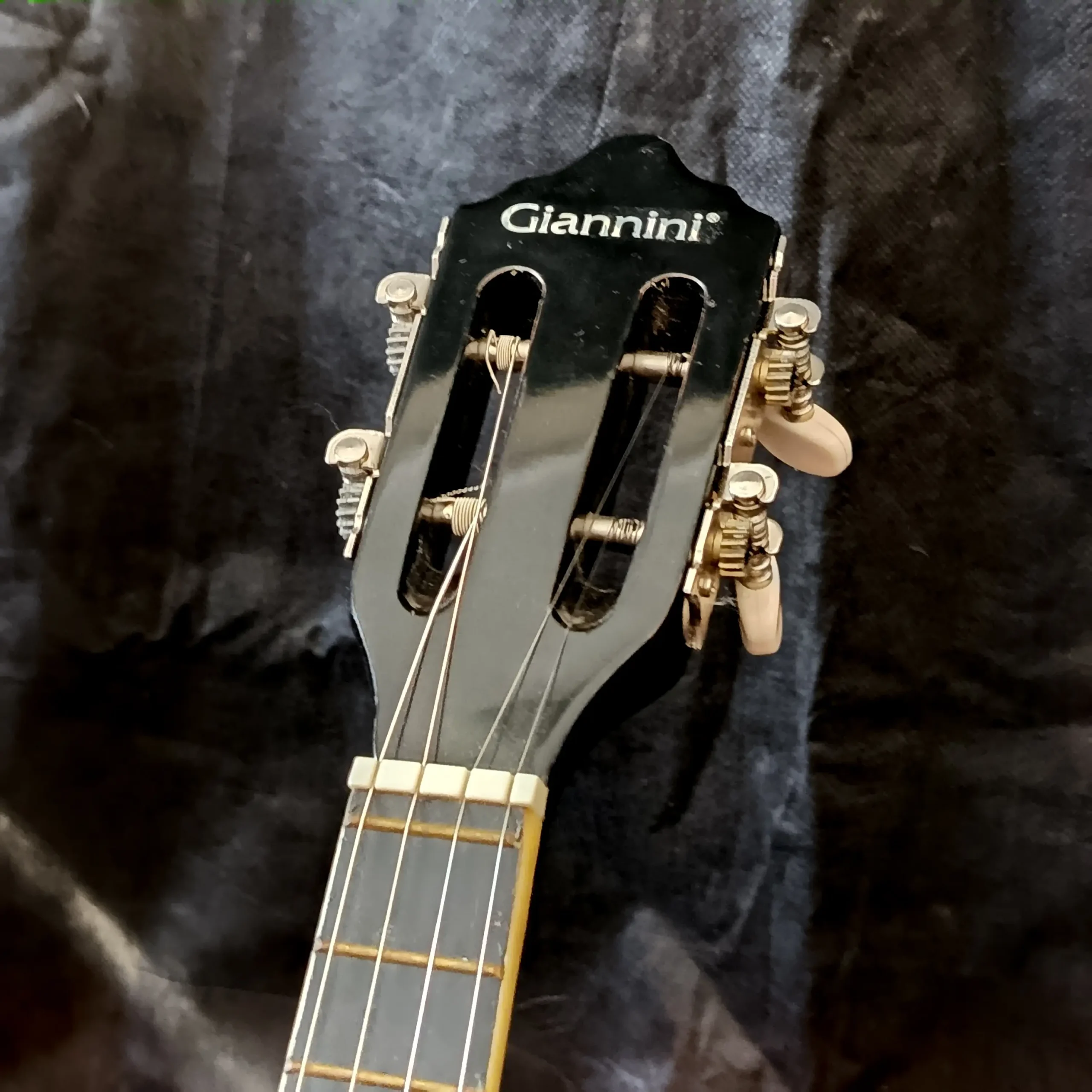 Cavaquinho Cavaco Giannini Sonic Séries GCSX15 Acústico - Imagem 9